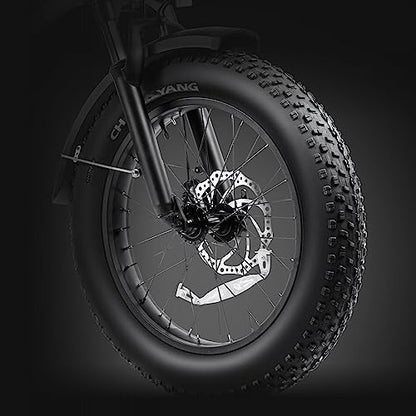Hipeak Electric Bike for Adults, Ebike 750W/48V/15Ah, 20" x 4.0" Fat Tires Electric Bike