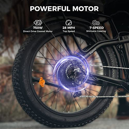 Heybike Explore Electric Bike for Adults 48V 20AH Removable Massive Battery