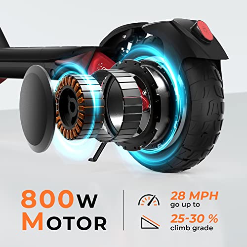 Circooter Raptor Electric Scooter Adult with Smart APP, 800W Motor