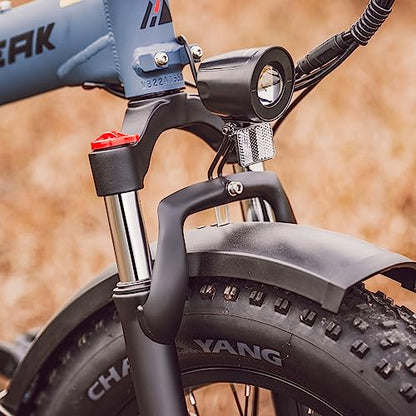 Hipeak Electric Bike for Adults, Ebike 750W/48V/15Ah, 20" x 4.0" Fat Tires Electric Bike