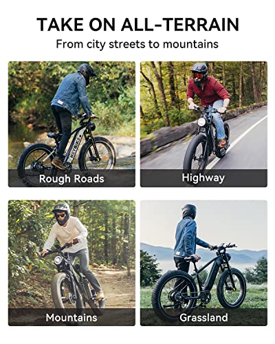 Heybike Brawn 750W Electric Bike for Adults,28MPH 26'' Fat Tire Ebike