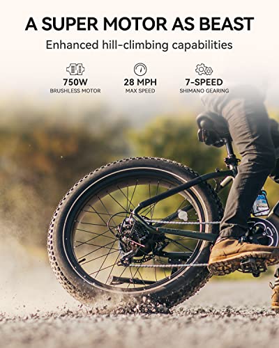 Heybike Brawn 750W Electric Bike for Adults,28MPH 26'' Fat Tire Ebike