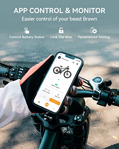 Heybike Brawn 750W Electric Bike for Adults,28MPH 26'' Fat Tire Ebike