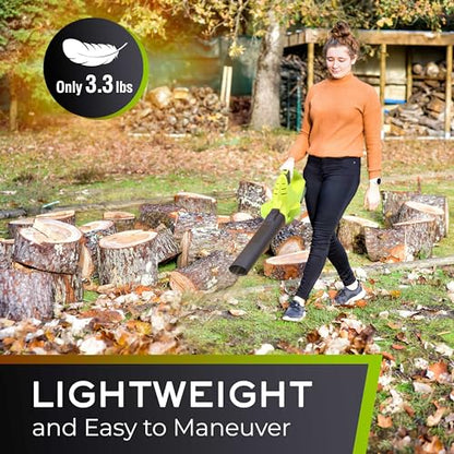 Mueller UltraStorm Cordless Leaf Blower, 20 V Powerful Motor, Electric Leaf Blower for Lawn Care, Battery Powered Leaf Blower Lightweight for Snow Blowing (Battery & Charger Included)